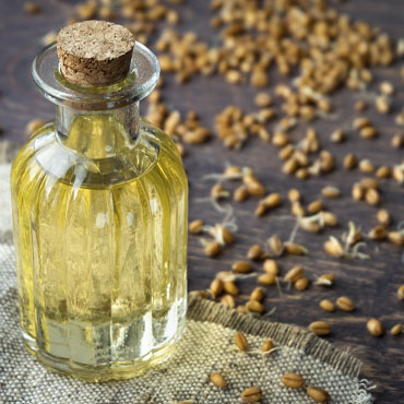 Wheatgerm oil manufacturers in Noida