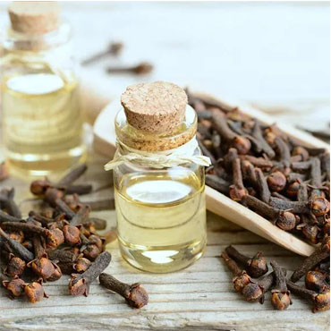 Organic Clove Oil Supplier Noida
