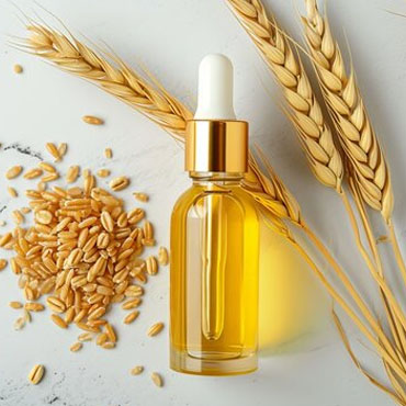 Best Wheatgerm oil exporter Noida