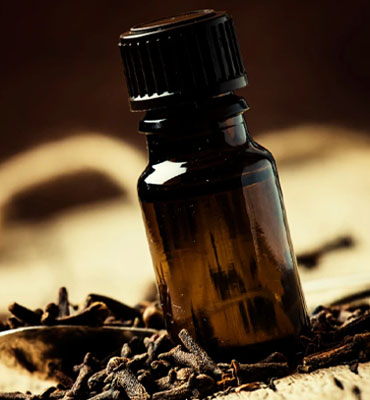 Bulk Clove Oil Supplier Noida