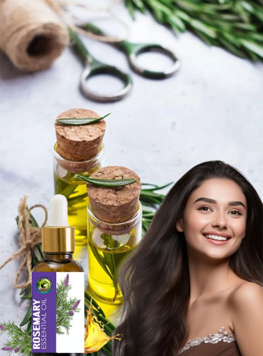 Aromatherapy rosemary oil manufacturer