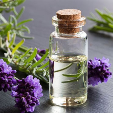 Lavender oil suppliers Noida