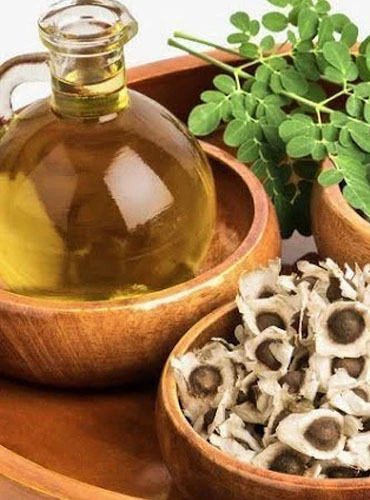 Organic Moringa Oil Manufacturer