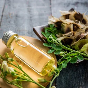 Moringa Oil Supplier in Noida