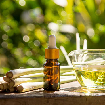 Pure Tea Tree Oil Noida