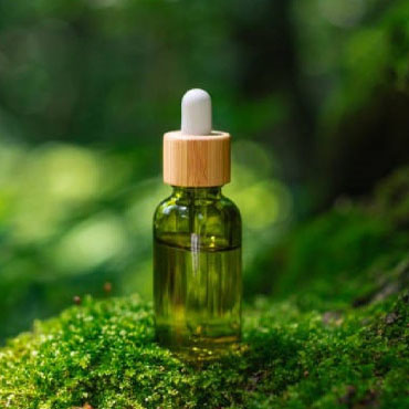Tea Tree Oil Supplier Noida