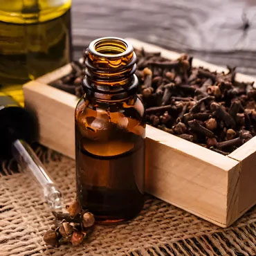 High-Quality Clove Oil Manufacturer